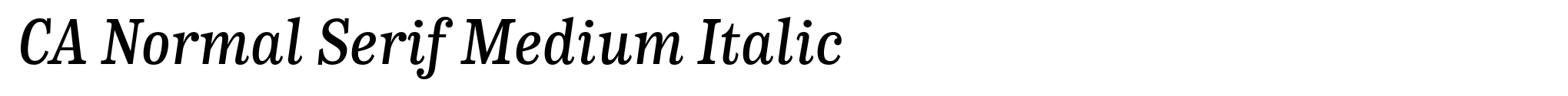 CA Normal Serif Medium Italic image